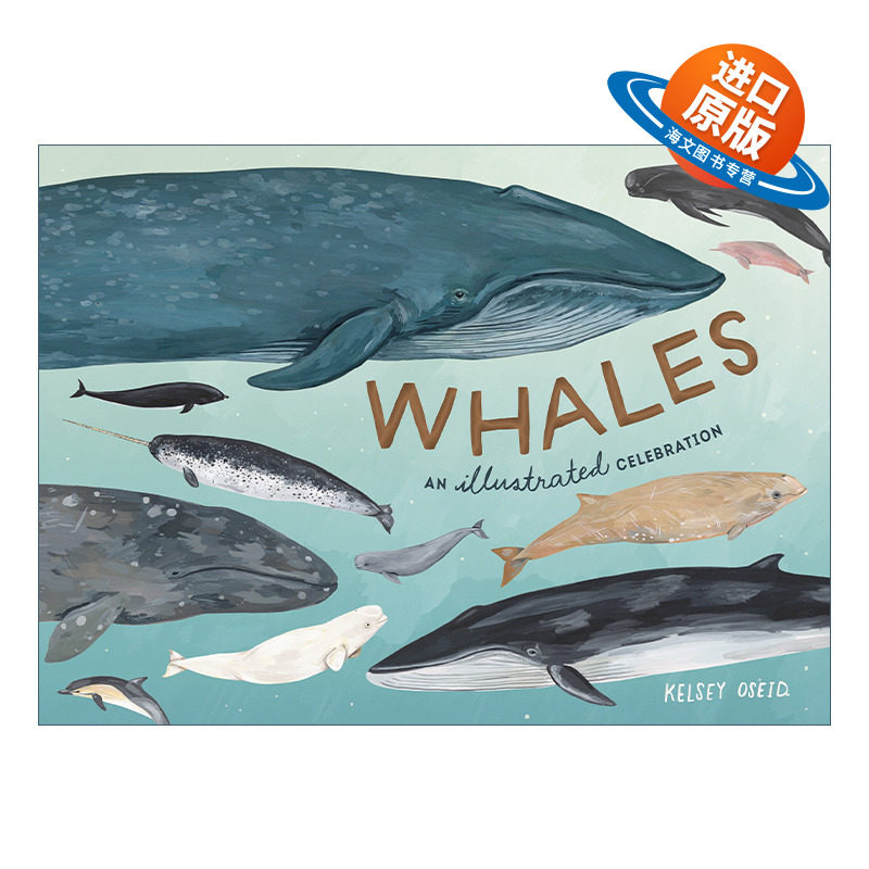 英文原版 Whales An Illustrated Celebration 鲸鉴 手绘鲸类图鉴 当我们看星星时 我们看见了什么 精装 英文版 进口英语原版书籍