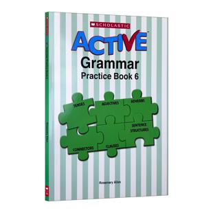 Practice Book 进口英语原版 Active 书籍 英文版 Grammar 学乐活跃英语语法练习册6 英文原版