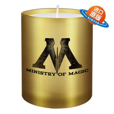 英文原版 Harry Potter Ministry of Magic Glass Votive Candle  哈利波特 魔法部的许愿蜡烛 英文版 进口英语原版书籍
