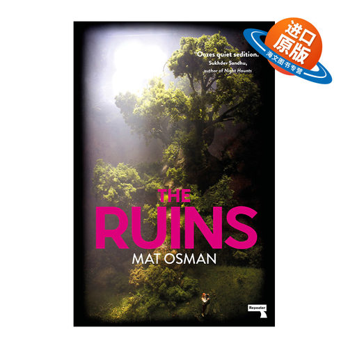 英文原版 The Ruins 成名之日 一位摇滚歌手的两次非正常死亡 推理小说 Mat Osman 英文版 进口英语原版书籍