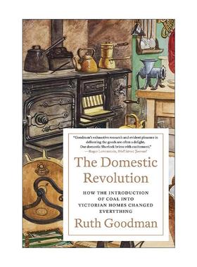 英文原版 The Domestic Revolution 家庭革命 维多利亚时代家庭引入煤炭带来的改变 英文版 进口英语原版书籍