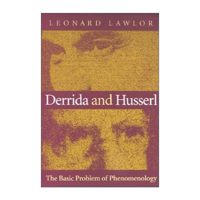 英文原版 Derrida and Husserl 德里达和胡塞尔 现象学的基本问题 英文版 进口英语原版书籍