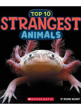 英文原版 Strangest Animal 野生世界之十大奇怪动物 科普图画书 英文版 进口英语原版书籍