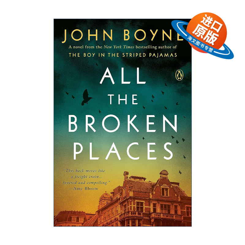英文原版小说 All The Broken Places 所有破碎的地方 穿条纹睡衣的男孩续集 John Boyne 英文版 进口英语原版书籍