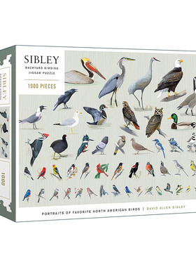 英文原版 Sibley Backyard Birding Puzzle 西布利后院观鸟拼图 1000片 受欢迎的北美鸟类 英文版 进口英语原版书籍