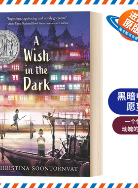 A Wish in the Dark 闪闪发光的心愿 黑暗中的愿望 2021纽伯瑞银奖 克里斯蒂娜·松托瓦 青少年课外读物 英文原版进口图书