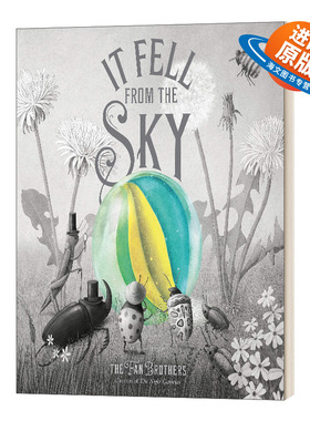 英文原版绘本 It Fell From The Sky 来自天空的你 精装 英文版 进口英语原版书籍