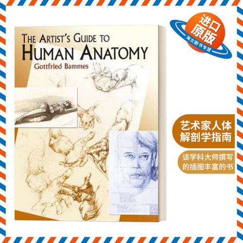 英文原版 The Artist's Guide to Human Anatomy 艺术家人体解剖学指南 英文版 进口英语原版书籍
