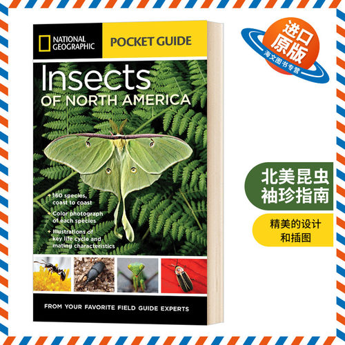英文原版 National Geographic Pocket Guide to Insects of North America 国家地理北美昆虫袖珍指南 英文版