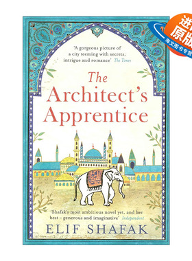 英文原版 The Architect's Apprentice 建筑师的学徒 艾丽芙·沙法克小说 英文版 进口英语原版书籍