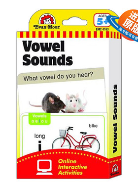 英文原版 The Learning Line Flashcard Vowel Sounds 闪记学习卡 元音 3岁以上 英文版 进口英语原版书籍儿童外文书