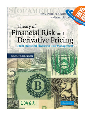英文原版 Theory of Financial Risk and Derivative Pricing 金融风险和衍生证券定价理论 Jean-Philippe Bouchaud 英文版