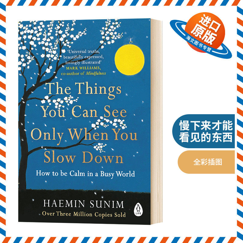 英文原版 The Things You Can See Only When You Slow Down 慢下来才能看见的东西 英文版外文小说