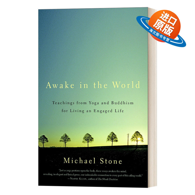 英文原版 Awake in the World 世界的清醒 通过瑜伽与冥想获得生活的平衡 Michael Stone 英文版 进口英语原版书籍