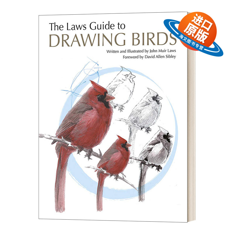 英文原版鸟类绘画的第一堂