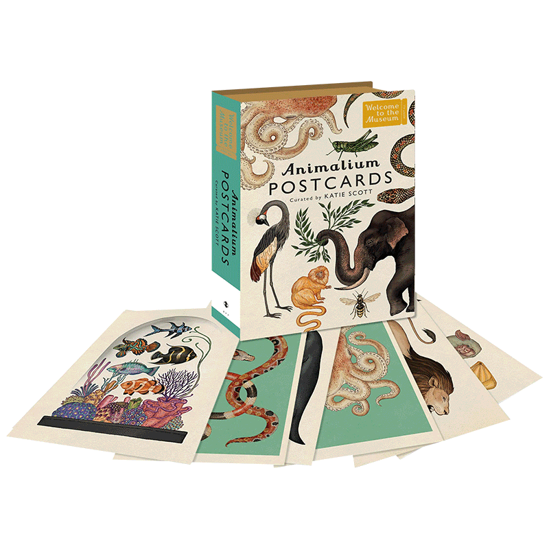 动物博物馆明信片50张 英文原版 Animalium Postcards 艺术明信片卡片 英文版 进口原版英语书籍