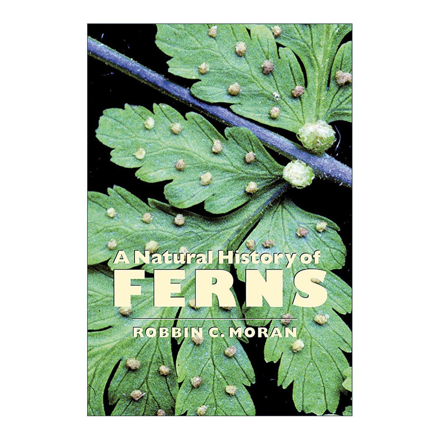 英文原版 A Natural History of Ferns 蕨类植物的秘密生活 英文版 进口英语原版书籍