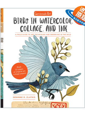 英文原版 Geninne's Art Birds in Watercolor Collage and Ink 吉宁娜的艺术 水彩 拼贴和水墨画中的鸟类 艺术技巧和野外观察