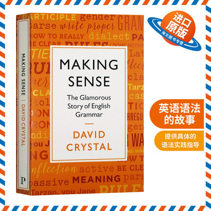 理解 英语语法的故事 英文原版 Making Sense The Glamorous Story of English Grammar 语言学习 英文版 进口原版英语书籍