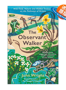 英文原版 The Observant Walker 观察行者 英国之路上的野生食物 自然和隐藏的宝藏 英文版 进口英语原版书籍