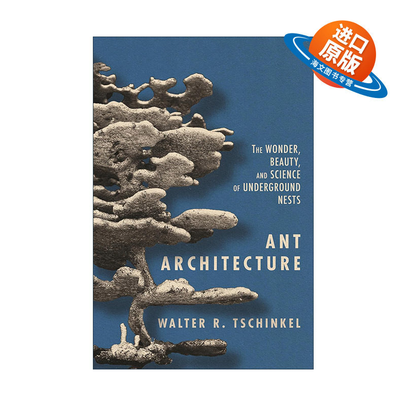 英文原版 Ant Architecture 蚂蚁建筑学 地下巢穴的奇妙 魅力和科学 Walter R. Tschinkel 精装英文版 进口英语原版书籍