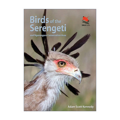 英文原版 Birds of the Serengeti 塞伦盖蒂鸟类指南 恩戈罗恩戈罗自然保护区 普林斯顿野生动物探险家指南 Adam Scott Kennedy
