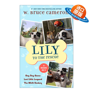 Rescue Books Lily the 英文版 书籍 英文原版 6合集 Bind 进口英语原版 救援犬莉莉4