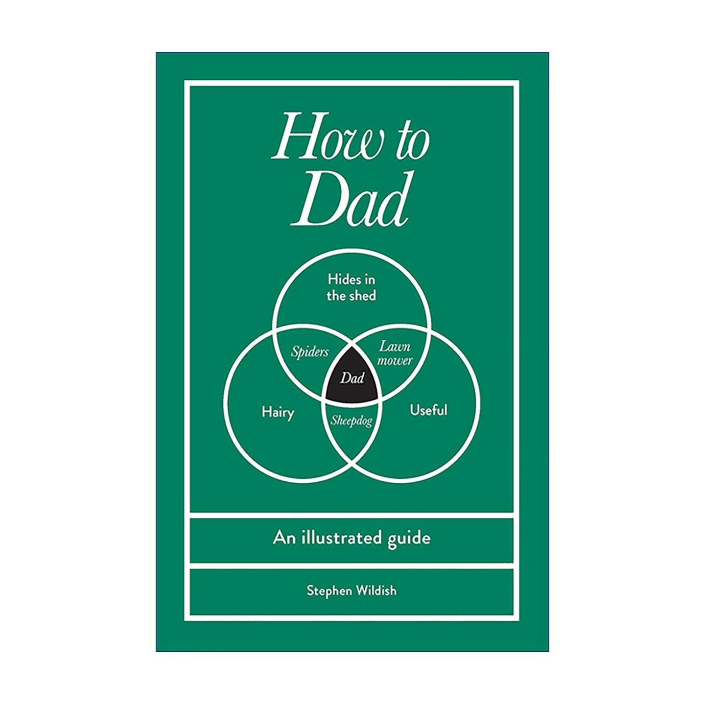 英文原版 How to Dad 如何当爸爸 图解指南 精装 极简插画 冷幽默 毒舌吐槽 英文版 进口英语原版书籍