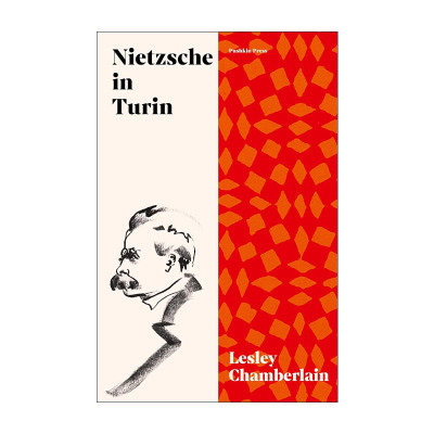 英文原版 Nietzsche in Turin 尼采在都灵 1888年的三部巨著与写作的终结 Lesley Chamberlain 英文版 进口英语原版书籍