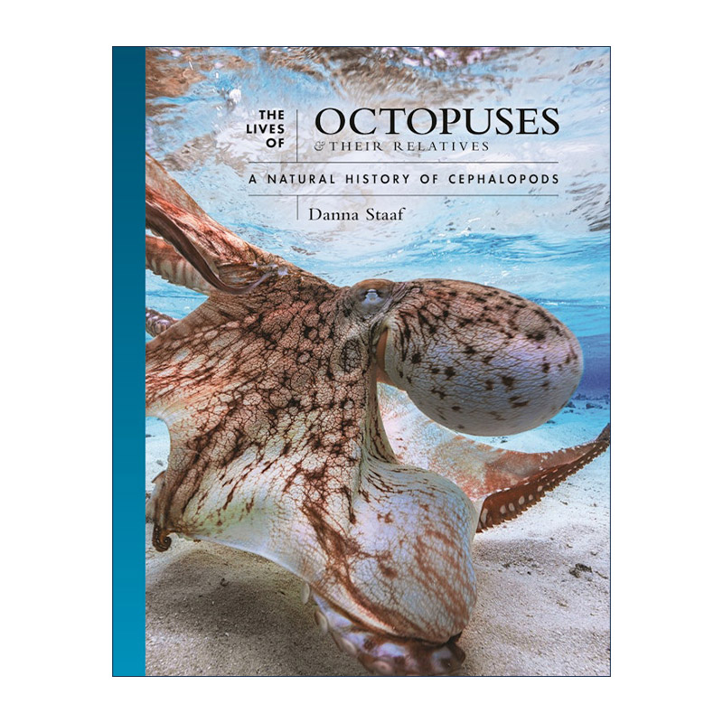 英文原版 The Lives of Octopuses and Their Relatives 章鱼及其近亲的生活 头足类动物的自然史 Danna Staaf 精装 英文版