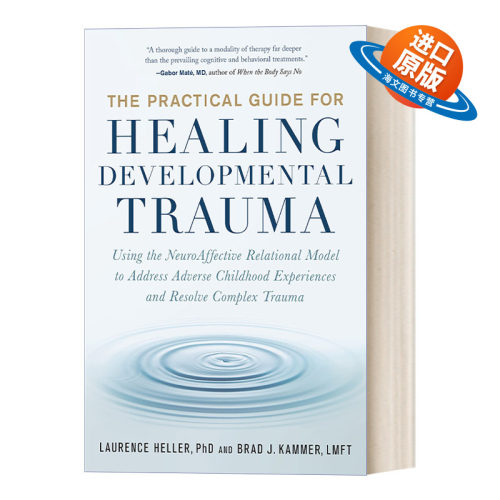 英文原版 The Practical Guide for Healing Developmental Trauma 治疗发育性创伤的实用指南 心理治疗 英文版 进口英语原版书籍