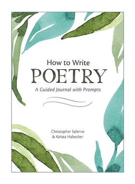 英文原版 How to Write Poetry 如何写诗 有提示的指导日志 写作指南 Christopher Salerno 英文版 进口英语原版书籍