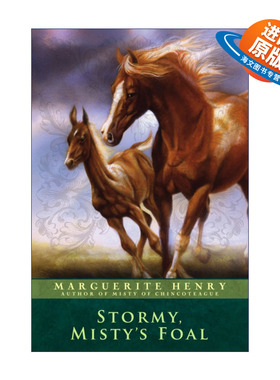 英文原版 Stormy Misty's Foal 暴风雨 迷雾的小马 辛可提岛的迷雾续集1 纽伯瑞奖作者玛格丽特亨利 英文版 进口英语原版书籍