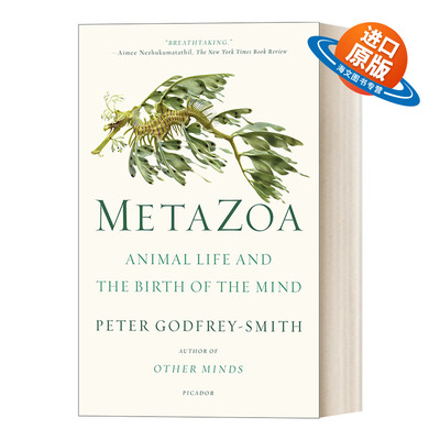 英文原版 Metazoa 后生动物 动物生活与心灵的诞生 章鱼心灵作者彼得戈弗雷史密斯 英文版 进口英语原版书籍