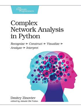 英文原版 Complex Network Analysis in Python 复杂网络分析 识别 构建 可视化 分析 解释 计算机 英文版 进口英语原版书籍