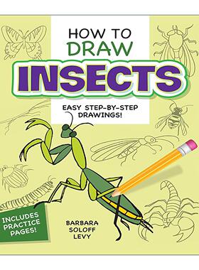 英文原版 How to Draw Insects 如何画昆虫 儿童卡通绘画技巧指南 Barbara Soloff Levy 英文版 进口英语原版书籍