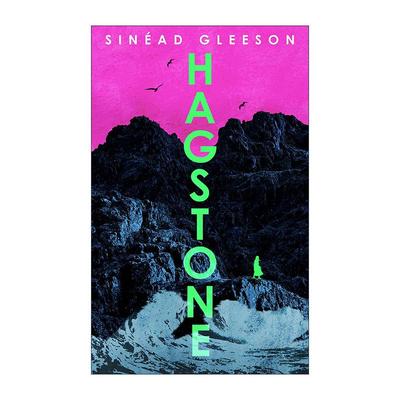 英文原版 Hagstone 女巫石 爱尔兰新晋女性文学作家希内德·格利森小说 英文版 进口英语原版书籍