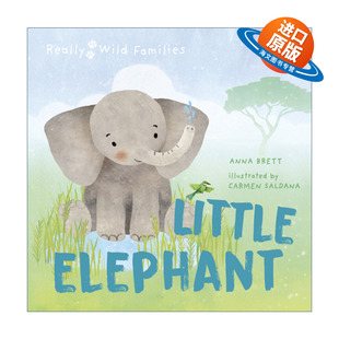 英文原版 Little Elephant A Day in the Life of a Elephant Calf 小象的一天 儿童动物精装绘本 Really Wild Families 进口书籍