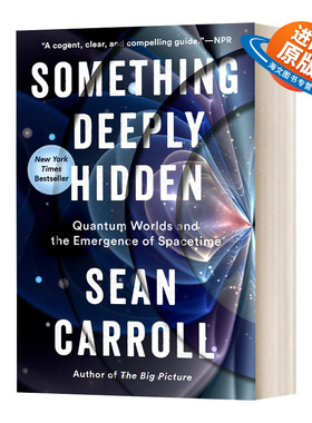英文原版 Something Deeply Hidden 深藏之物 量子世界和时空的出现 英文版 进口英语原版书籍
