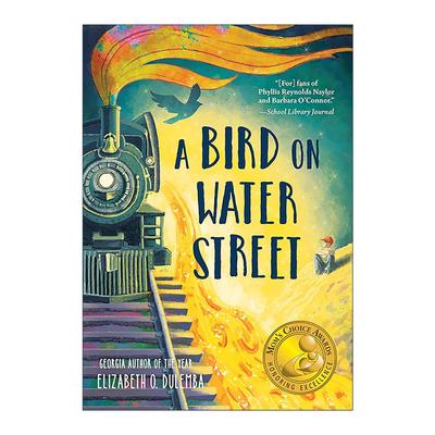 英文原版 A Bird on Water Street 水街上的鸟儿 绿色地球图书奖 儿童历史小说 伊丽莎白·O.杜兰巴 英文版 进口英语原版书籍