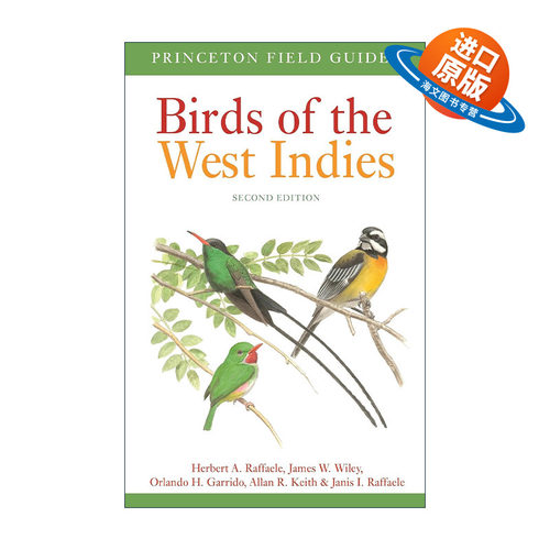 英文原版 Birds of the West Indies 西印度群岛的鸟类 第二版 普林斯顿野外指南 Herbert A. Raffaele英文版 进口英语原版书籍