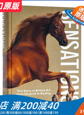 轰动 英文原版 Sensations 英国艺术的故事 从霍加斯到班克西 精装 英文版进口原版英语艺术类书籍