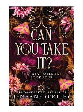 英文原版 Can You Take It 你能带上它吗 迷恋精灵系列4 奇幻小说 Booktok热门推荐 豪华版 英文版 进口英语原版书籍