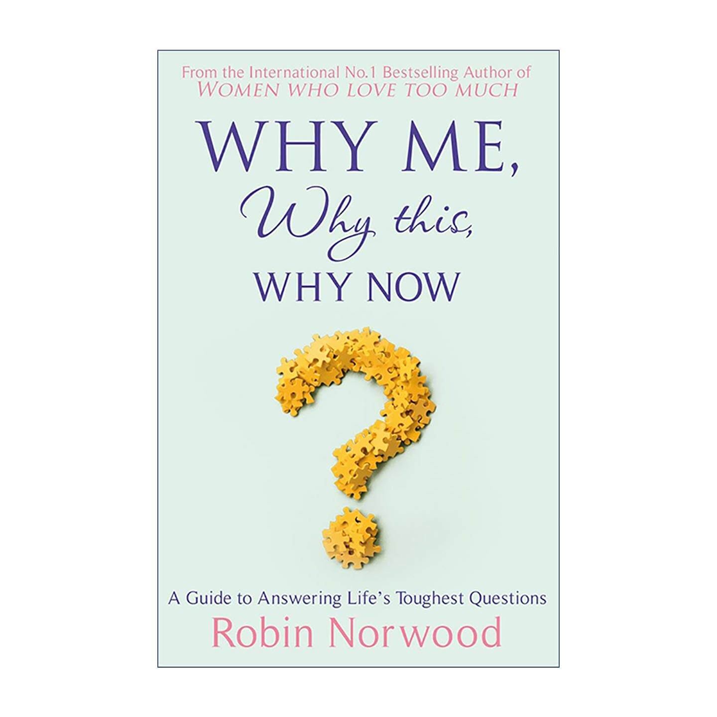 英文原版 Why Me Why This Why Now 为什么受伤的总是我 在逆境中寻找内心的平静 英文版 进口英语原版书籍
