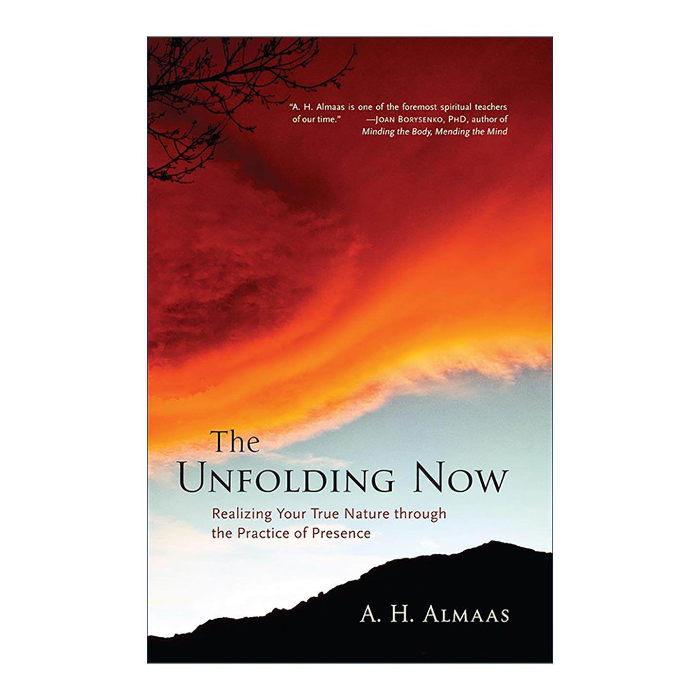 英文原版 The Unfolding Now 展开现在 通过存在实践来认识你真实本性 钻石途径创始人阿玛斯 英文版 进口英语原版书籍