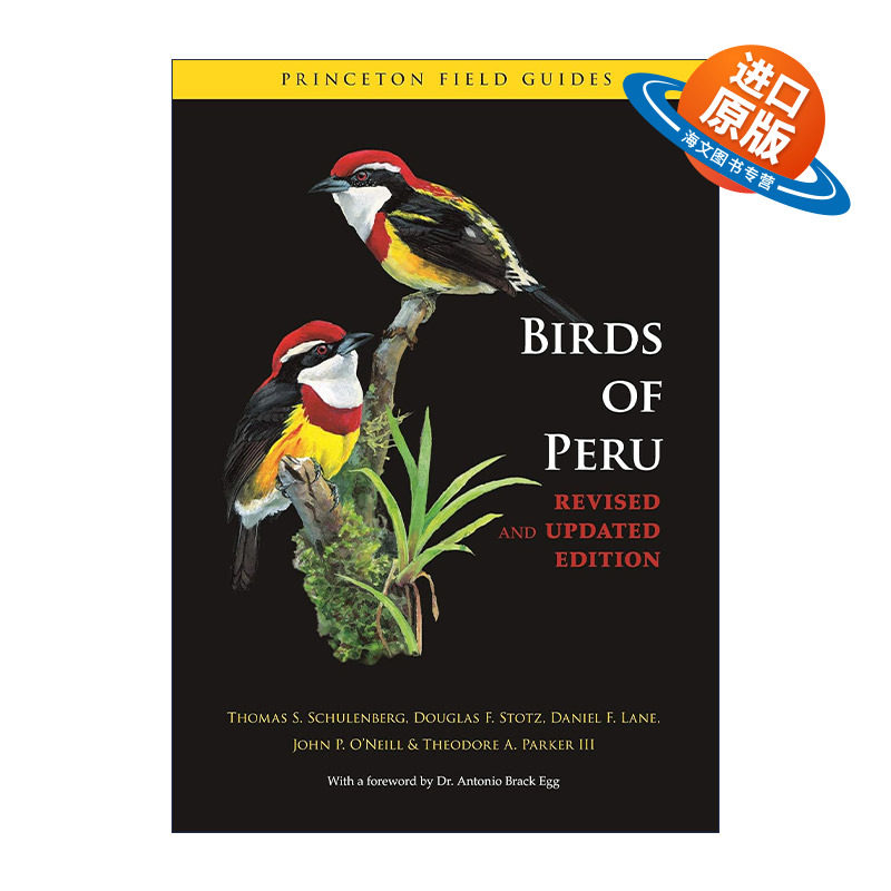 英文原版 Birds of Peru 秘鲁的鸟类 图鉴 修订版 普林斯顿野外指南 Thomas S. Schulenberg 英文版 进口英语原版书籍