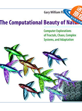 英文原版 The Computational Beauty of Nature 自然的计算之美 计算机对分形 混沌 复杂系统和适应性的探索 Gary William Flake