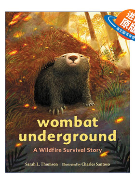 英文原版 Wombat Underground 袋熊的地下洞穴 山火生存动物故事精装绘本 英文版 进口英语原版书籍