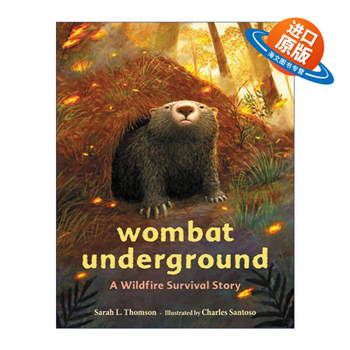 英文原版 Wombat Underground 袋熊的地下洞穴 山火生存动物故事精装绘本 英文版 进口英语原版书籍
