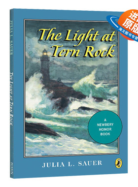 有光的房子 英文原版 The Light at Tern Rock 纽伯瑞银奖 儿童文学小说 青少年英文课外读物 英文版 进口英语书籍